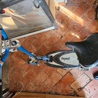 Monopattino elettrico Raycool usato