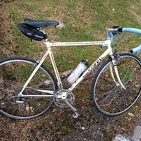 Fausto Coppi Lugano 53 by Masciaghi