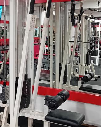 Attrezzi Technogym linea lux