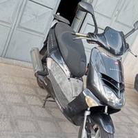 Leonardo 250