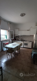 Appartamento piano terra