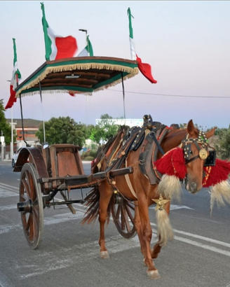 Cavalla per carrozza
