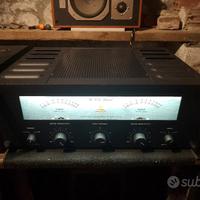 beard p 50 finale hi end parziali p-er-m-u-t-ae