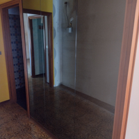 Specchi bruniti 50x197 e 63x197