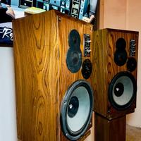 CASSE ACUSTICHE ESB 100LD Diffusori hi-fi Vintage