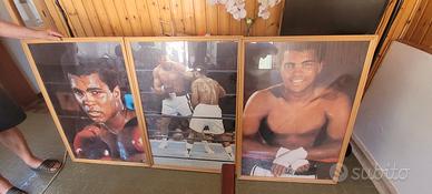 quadri Muhammad Alì boxe