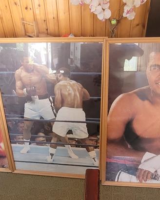 quadri Muhammad Alì boxe