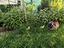 Immagine 4