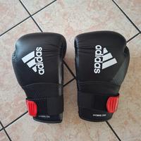 guantoni boxe
