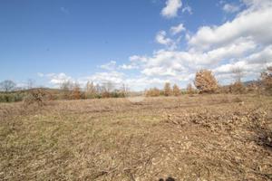 TER. AGRICOLO A PALOMBARA SABINA