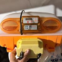 Incubatrice automatica AH24 + vaporizzatore prof.