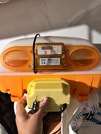 Incubatrice automatica AH24 + vaporizzatore prof.