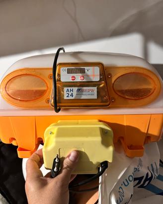 Incubatrice automatica AH24 + vaporizzatore prof.