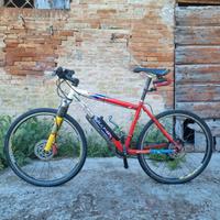 MTB Lee Cougan Revenge team anno 2006