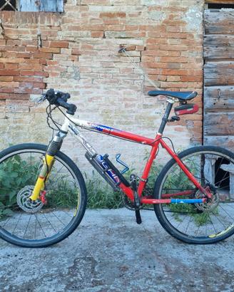 MTB Lee Cougan Revenge team anno 2006