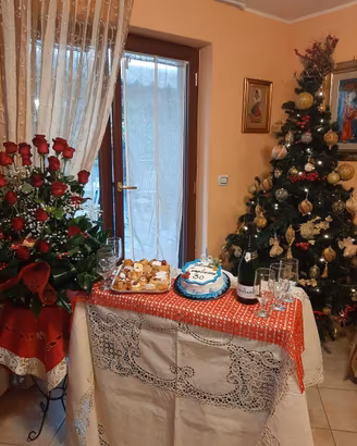 albero di natale "nuovo" completo di luci e addob