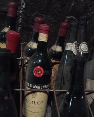 vecchie bottiglie di vino vari anni