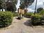 Immagine 12