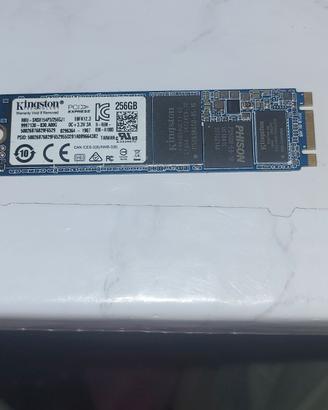 Hard Disk SSD M2 Kingston 256Gb