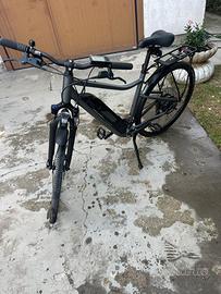 Bici elettrica da uomo