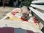 Immagine 6