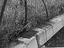Immagine 16