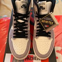 Air Jordan 1 High Element "Gore-Tex Light Bone"