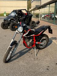 Beta alp Vendita in Moto e scooter