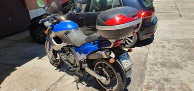 Aprilia Pegaso 650 - 2002