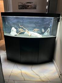 Acquario juwel 450 litri