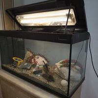 acquario 200lt 