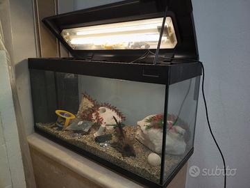 acquario 200lt 