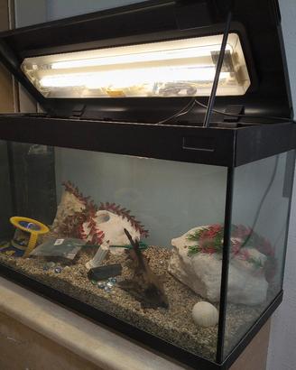 acquario 200lt 