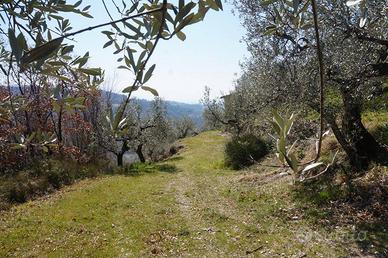 Rustico / Casale di 100 m² a Spello