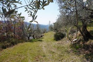 Rustico / Casale di 100 m² a Spello