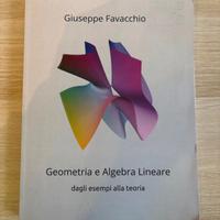 Geometria e algebra lineare Favacchio