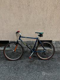 Bicicletta mountain bike
