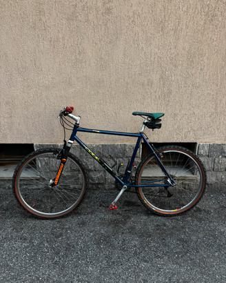 Bicicletta mountain bike