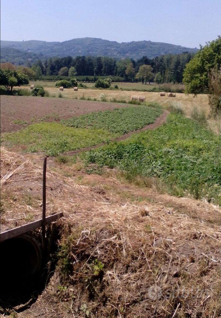 Terreno agricolo - Vista 2