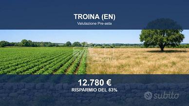 Immobile in asta di 68000 m² a Troina