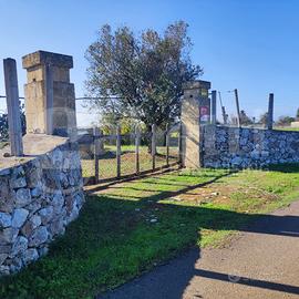 Terreno Agricolo Ugento [Cod. rif 3273680VCG]