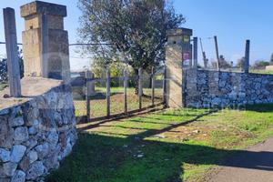 Terreno Agricolo Ugento [Cod. rif 3273680VCG]