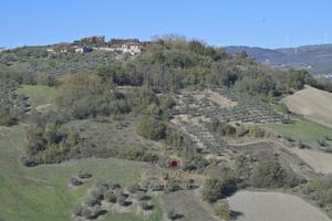 Fabbricati rurali in C.da San Giacomo n.17