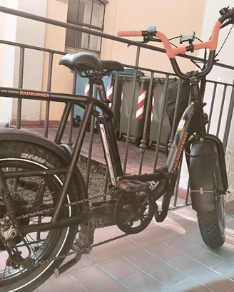 Bici Elettrica con batteria estraibile