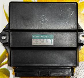 CentralinaYamaha tdm 900