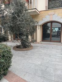 Commerciale possibilità residenziale