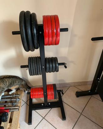 rastrelliera porta dischi pesi palestra 