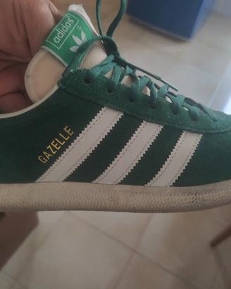 Gazzelle Addis verdi nuove