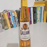Bottiglia Vintage Galliano Vanilla 500 ml – Spirit