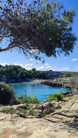 Terreno agricolo VISTA MARE Otranto Porto Badisco